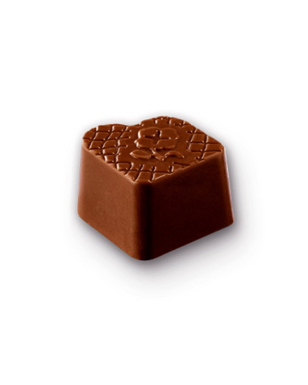Praliné Réduit en Sucres